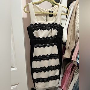Lace Black & Cream Dress